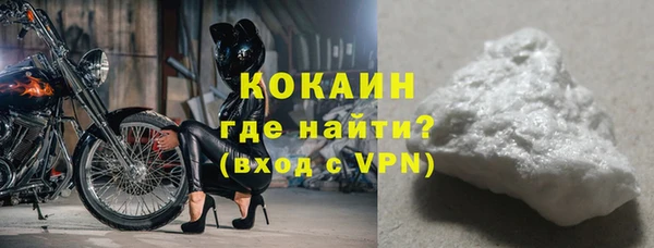 прущие грибы Абаза