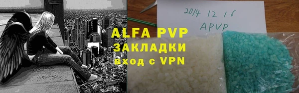 прущие грибы Абаза