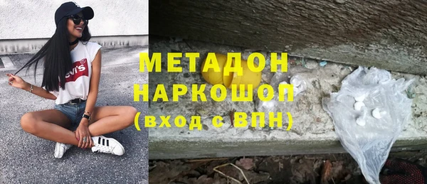 прущие грибы Абаза