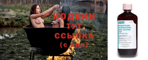 прущие грибы Абаза