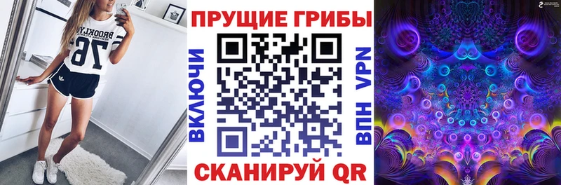 Псилоцибиновые грибы MAGIC MUSHROOMS  мориарти наркотические препараты  Каргополь 